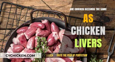 Chicken Gizzards vs. Livers: Understanding the Differences and Uses