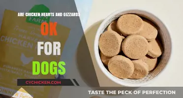 Can Dogs Safely Eat Chicken Hearts and Gizzards? Find Out!