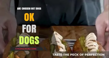 Can Dogs Eat Chicken Hot Dogs? Safety and Health Concerns Explained