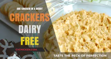 Are Chicken in a Biskit Crackers Dairy-Free? Find Out Here