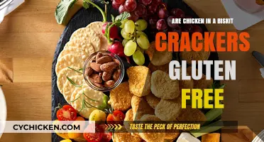 Are Chicken in a Biskit Crackers Gluten-Free? Find Out Here