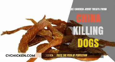 Are Chinese Chicken Jerky Treats Deadly for Dogs?
