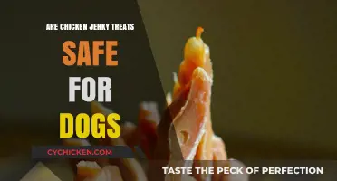 Chicken Jerky Treats for Dogs: Safe or Risky Snack Choice?