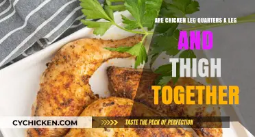 Chicken Leg Quarters: Understanding the Leg and Thigh Combination
