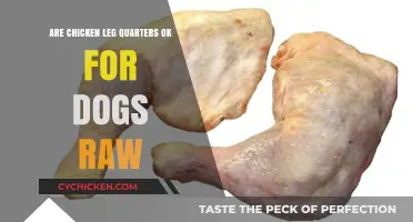 Can Dogs Safely Eat Raw Chicken Leg Quarters? A Guide