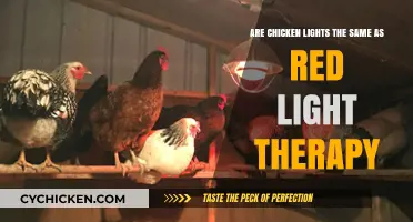 Chicken Lights: Red Light Therapy's Surprising Cousin