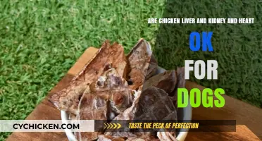 Chicken Organs: Healthy Treats for Dogs?