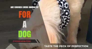 Are Chicken Livers Safe for Dogs? Health Risks Explained