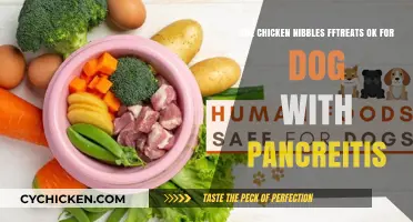 Chicken Nibbles: A Safe Treat for Dogs with Pancreatitis?