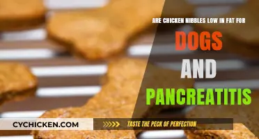 Chicken Nibbles: Healthy Dog Treats for Pancreatitis?