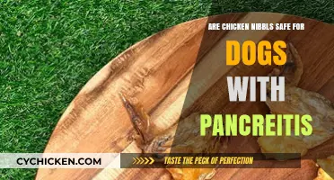 Chicken Nibbles and Pancreatitis: Are They Safe for Dogs?
