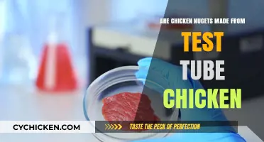 Test Tube Chicken Nuggets: Myth or Modern Food Reality?