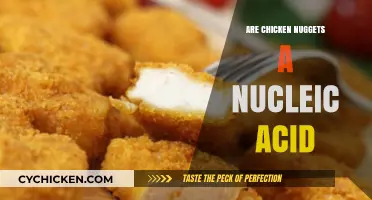Are Chicken Nuggets a Nucleic Acid? Unraveling the Food Science Myth