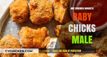 Are Chicken Nuggets Made from Baby Male Chicks? The Truth