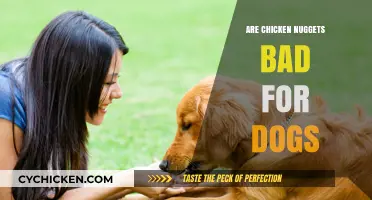 Can Dogs Eat Chicken Nuggets? Health Risks and Safe Alternatives