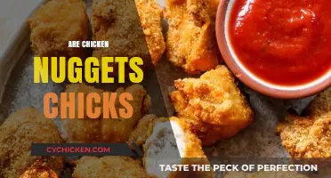 Are Chicken Nuggets Made from Chicks? Unraveling the Poultry Puzzle
