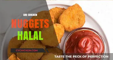 Are Chicken Nuggets Halal? Exploring Ingredients and Certification