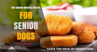 Are Chicken Nuggets a Safe Treat for Aging Dogs?