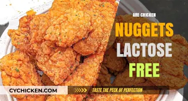 Are Chicken Nuggets Lactose-Free? A Guide for Dairy-Sensitive Eaters
