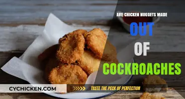 Are Chicken Nuggets Made from Cockroaches? Unraveling the Myth