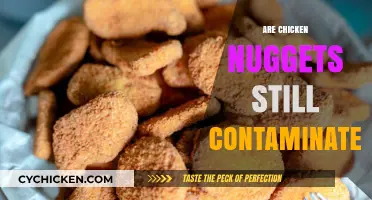 Are Chicken Nuggets Still Contaminated? Uncovering the Truth Behind the Bites