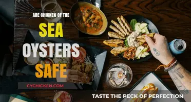 Are Chicken of the Sea Oysters Safe to Eat?