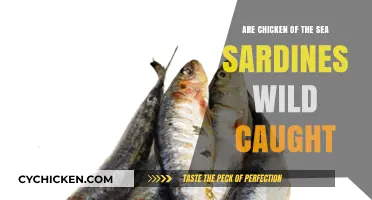 Are Chicken of the Sea Sardines Wild Caught? Unveiling the Truth