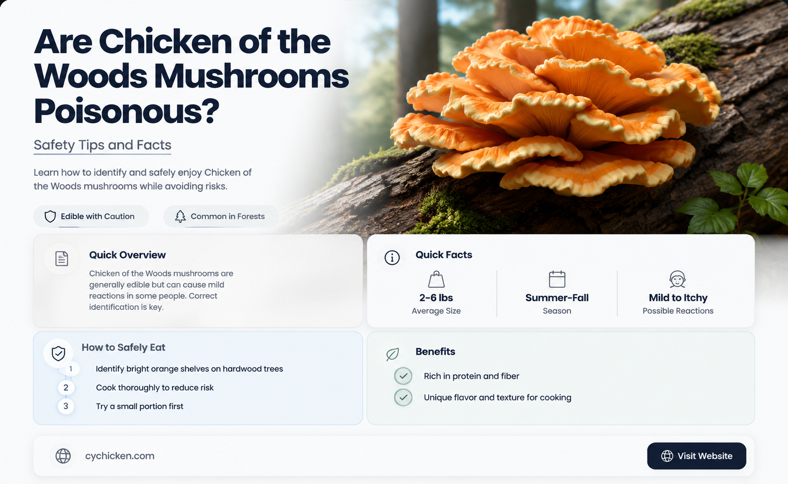 are there poisonous chicken of the woods