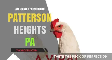 Are Chickens Allowed in Patterson Heights, PA? A Local Guide