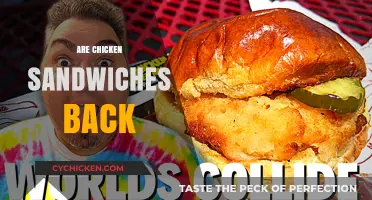 Are Chicken Sandwiches Back? The Return of a Fast-Food Favorite