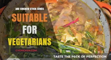 Are Chicken Stock Cubes Vegetarian-Friendly? A Clear Answer