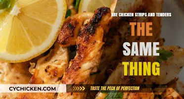 Chicken Strips vs. Tenders: Unraveling the Crispy Confusion