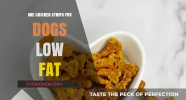 Are Chicken Strips for Dogs a Low-Fat Treat Option?