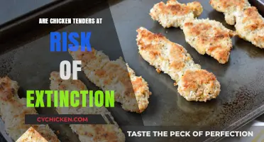 Chicken Tenders in Crisis: Are They Facing Extinction Soon?