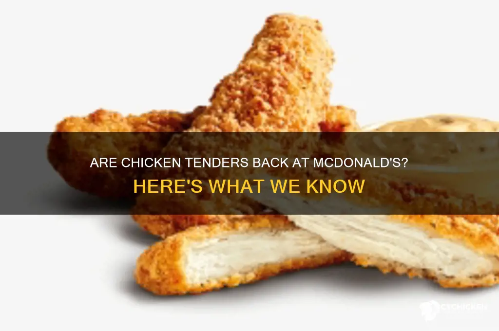 Are Chicken Tenders Back At Mcdonald's? Here's What We Know | CyChicken