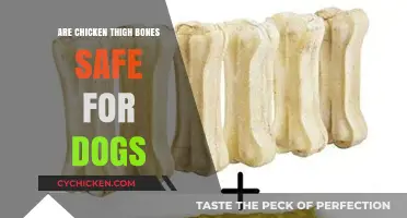 Can Dogs Safely Chew Chicken Thigh Bones? Expert Insights Revealed