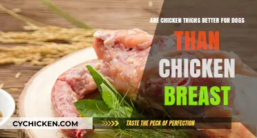 Chicken Thighs vs. Breast: Which is Better for Your Dog?