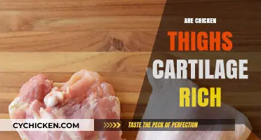 Chicken Thighs and Cartilage: Uncovering the Nutritional Truth