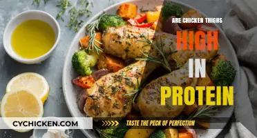 Are Chicken Thighs High in Protein? A Nutritional Breakdown