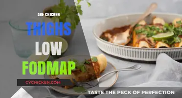 Are Chicken Thighs Low FODMAP? A Diet-Friendly Protein Guide