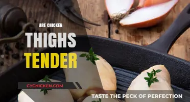 Are Chicken Thighs Tender? Exploring Texture, Cooking Tips, and Recipes