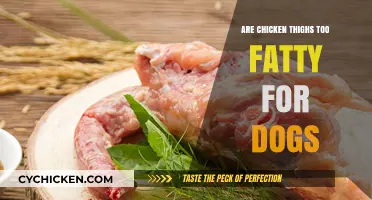 Chicken Thighs for Dogs: Are They Too Fatty to Feed?