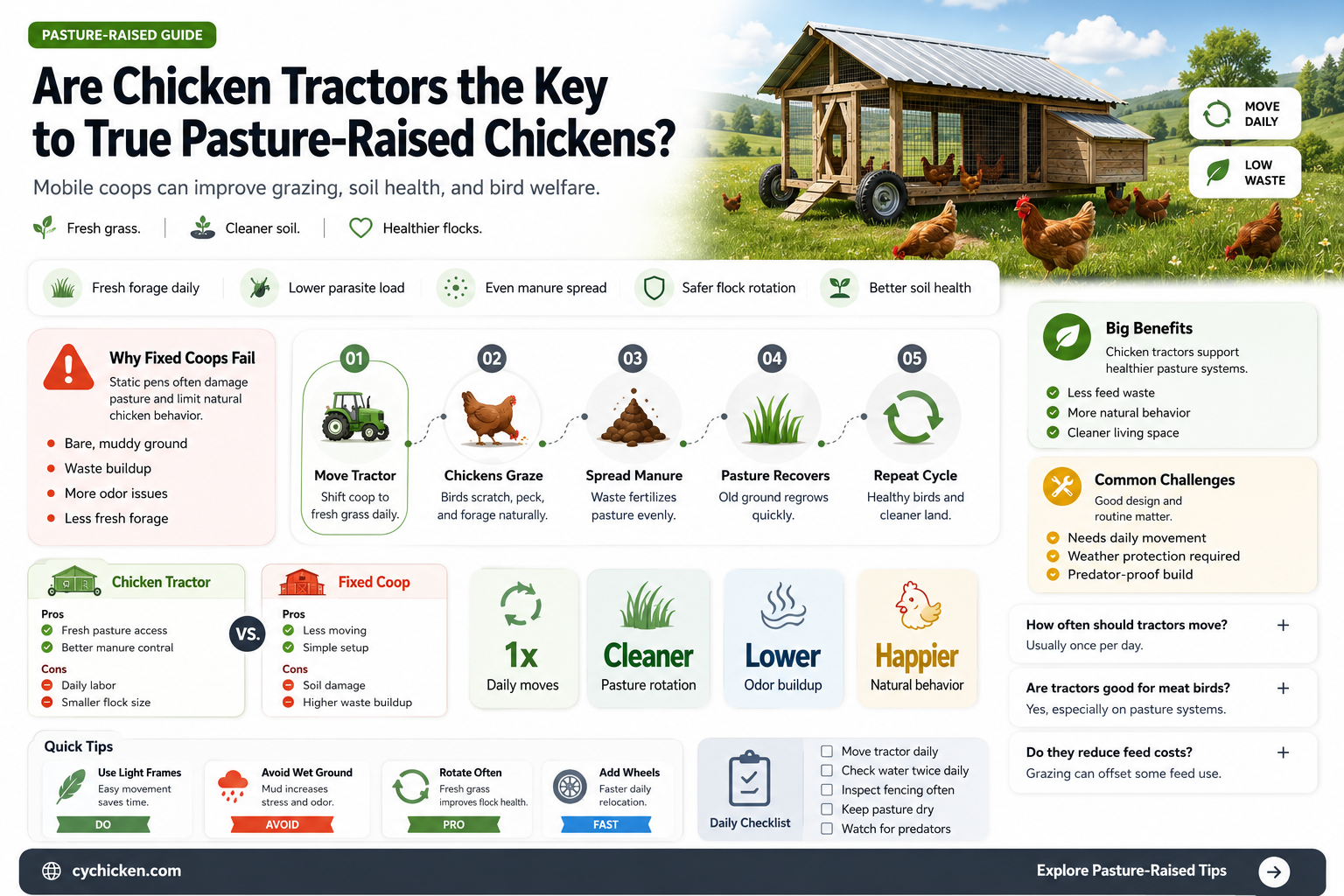 are chickens raised in chicken tractors pasture raised