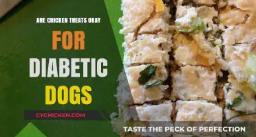 Chicken Treats for Diabetic Dogs: Safe or Risky Snack Choice?