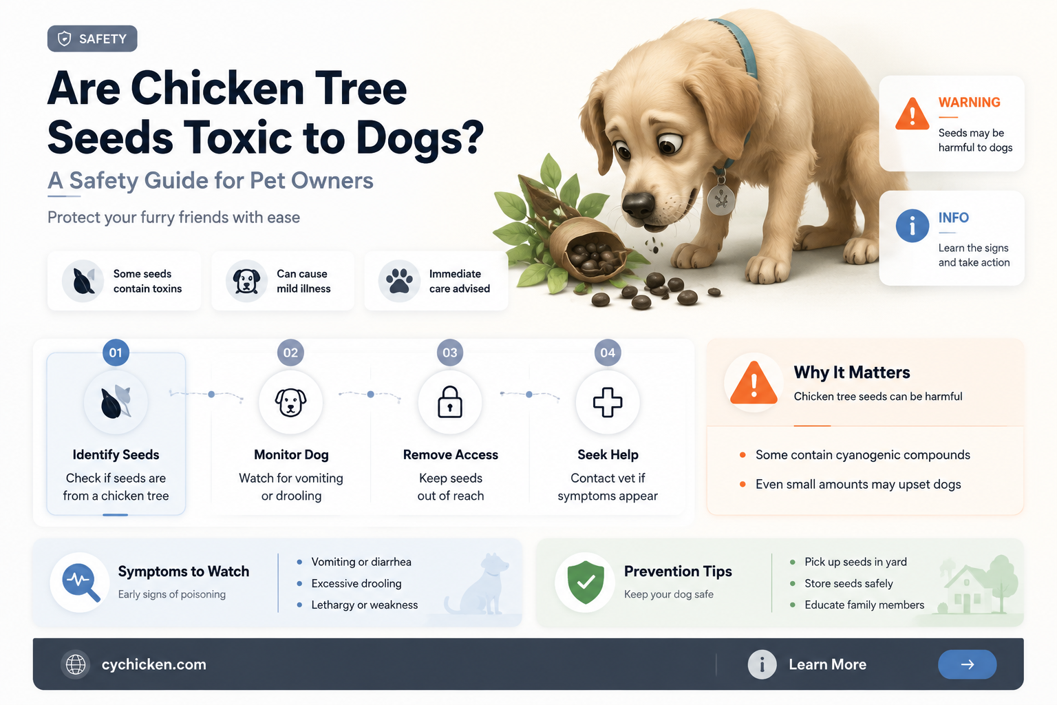 are chicken tree seeds poisonous to dogs