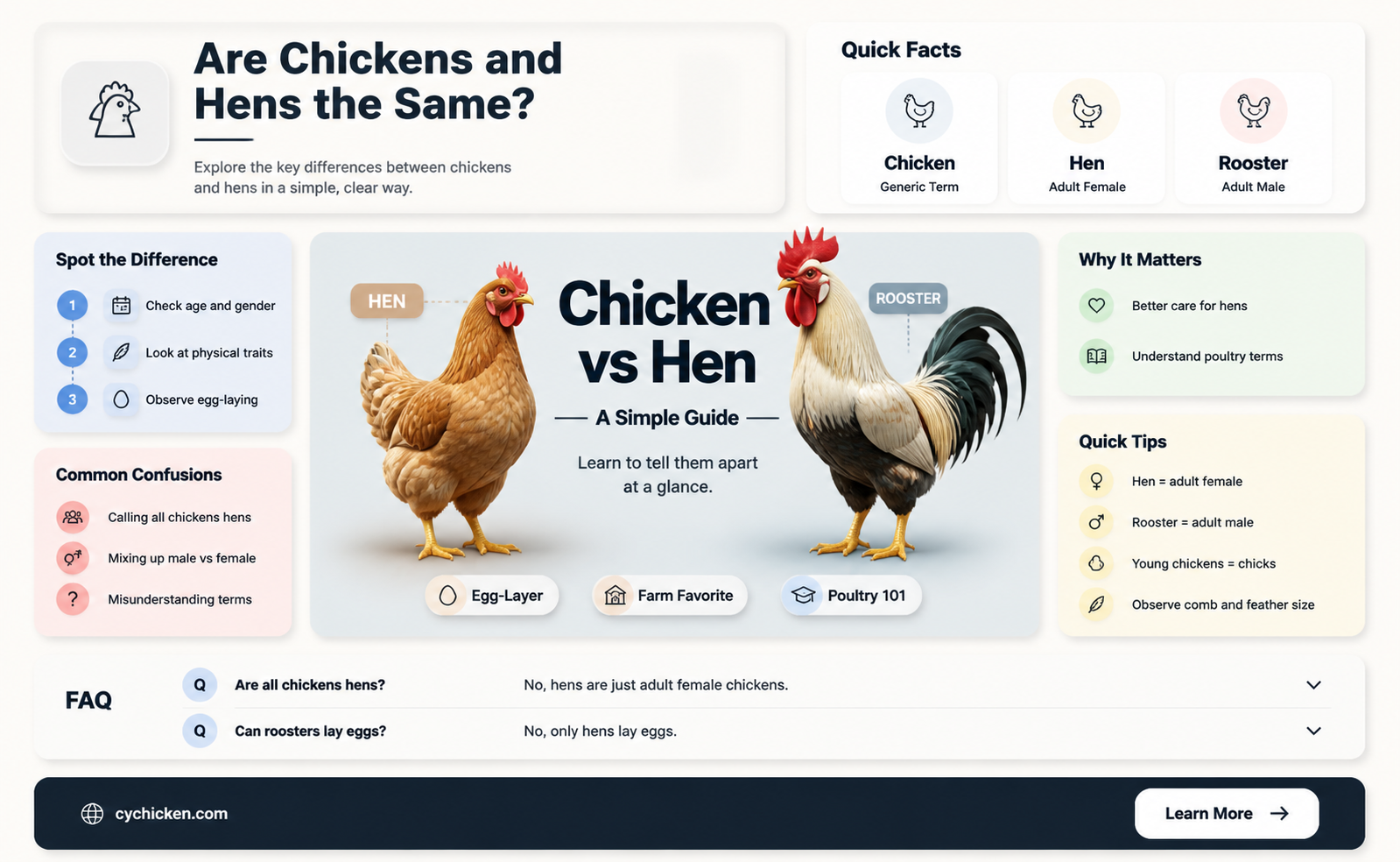 are chicken and hens the same thing