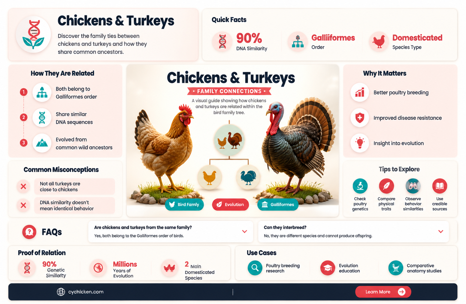 are chicken and turkey in the same family