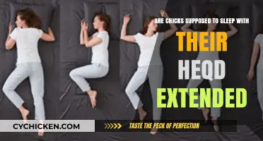 Chicks' Sleeping Habits: Heads Extended or Tucked In?