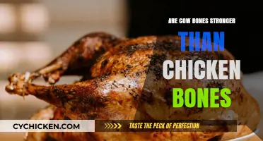 Cow vs. Chicken Bones: Which is Stronger? A Comparative Analysis