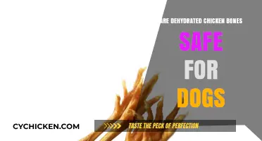 Dehydrated Chicken Bones for Dogs: Safe or Risky Treat?